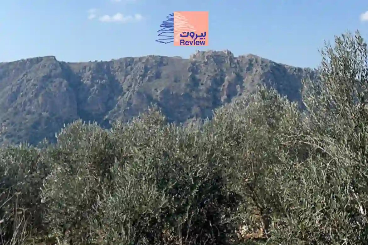 حيضلو جبلنا عالي .. سنبقى وترحلون